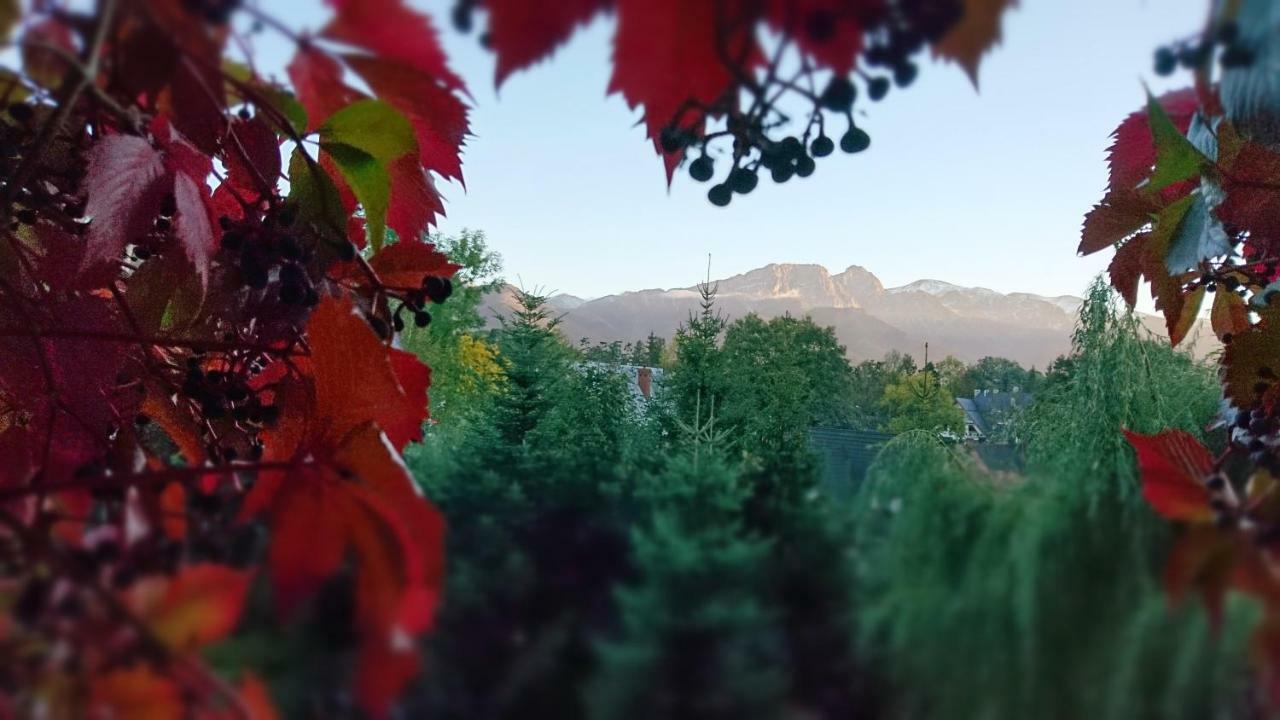 Mountain View Apartment Zakopane Exterior foto