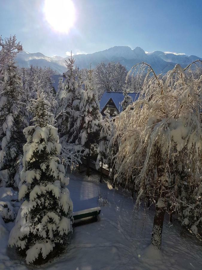 Mountain View Apartment Zakopane Exterior foto