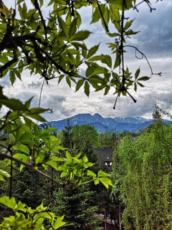 Mountain View Apartment Zakopane Exterior foto